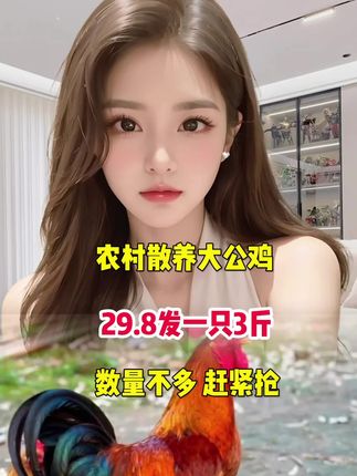 #公鸡#土鸡 #超便宜超划算