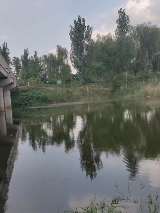 环境很美,鱼情很哇塞#钓鱼人就是这么疯狂 #鱼获满满 #爆护 #抖音钓鱼人