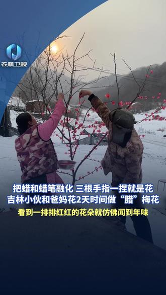 把蜡和蜡笔融化 三根手指一捏就是花,吉林小伙和爸妈花2天时间做“腊”梅花。看到一排排红红的花朵就仿佛闻到年味 #腊梅花 #东北人 #年味 #社会百态 #巧手