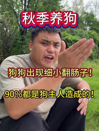 秋季养狗,狗狗出现细小翻肠子!90%都是狗主人造成的!#养狗 #养狗经验分享 #养狗人 #狗狗 #宠物狗