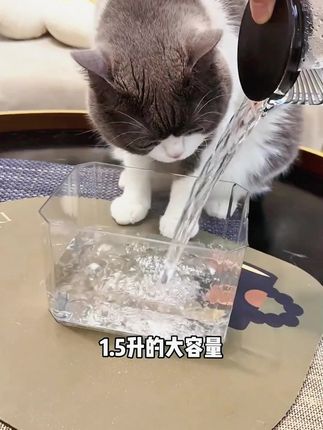 #宠物饮水机 #猫咪不爱喝水怎么办 有了这个饮水机我家平时不咋喝水的猫终于主动去喝了,嘘嘘像瀑布#新手养猫 #养猫人