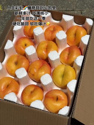 啊啊啊啊啊……吃到了人生彩虹蟠桃🍑!好吃到爆,皮薄肉厚,核也很小,我妈吃了一个直接让我囤3箱,硬吃脆甜软吃一口爆汁,真的甜到我的心窝窝里了#新鲜采摘 #彩虹蟠桃 #桃子熟了 #新鲜应季水果 #超便宜超划算