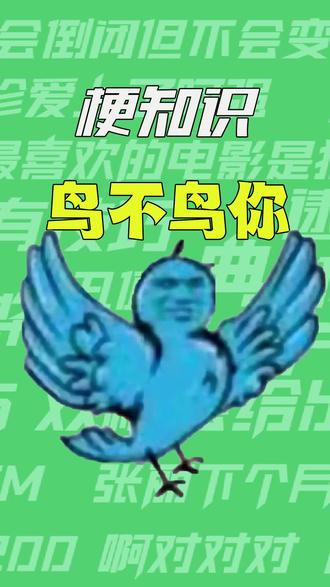 【梗知识】鸟不鸟你 #鸟不鸟你 #梗