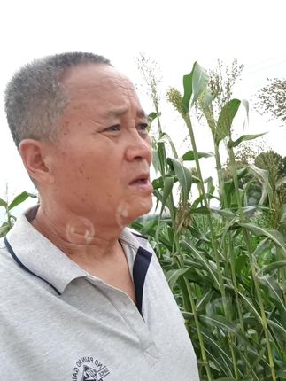回顾这半生太过狼狈 喜欢听伤感歌曲的人,不一定有故事,但一定是…重感情、善良,性子急,累死都没人心疼的那种,而且还会体谅别人!就是自己太累了#对口型飙演技