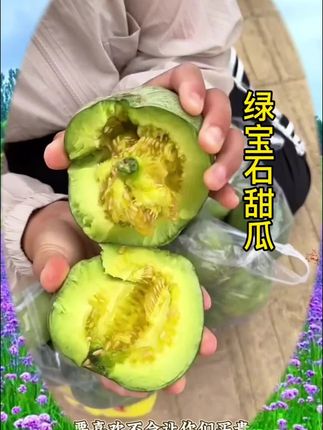 绿宝甜瓜 一年就吃这么一季的东北"绿宝石甜瓜,要头茬不来了会巨脆巨脆天贵的口爆汁!#优质农产品 #新鲜采摘#口感特别好 #脆甜多汁 #绿宝石甜瓜#优质农产品#纯天然绿色食品