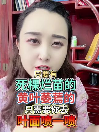 只要有死棵烂苗的 黄叶萎蔫的只需要你去叶面喷一喷#三农 #三农流量扶持计划