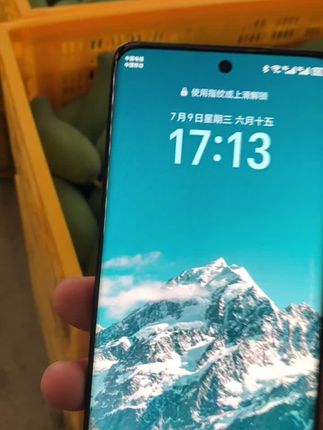 #广西水果自由 #广西桂七芒果 每天新鲜采摘!