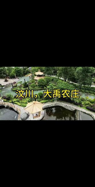 周末出逃大禹农庄✨车厘子自由+温泉+民宿太舒服 #阿坝大禹农庄 #古羌药泉温泉 #周末去哪儿 #成都周边游 #羌族风情民宿