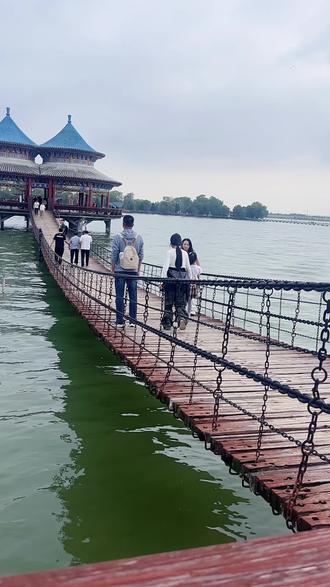 打卡颍上5A景区八里河景区
