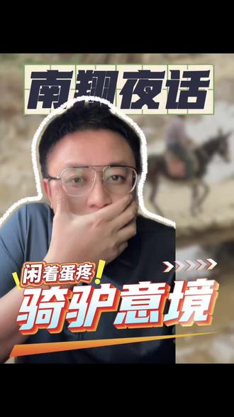 骑驴有意境?#意林 #外国的月亮没那么圆 #意境