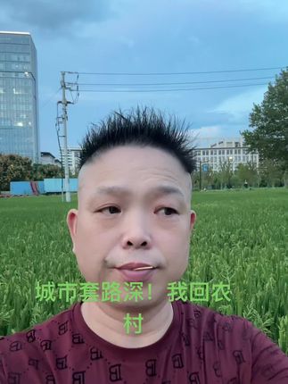 农村丰收的景象