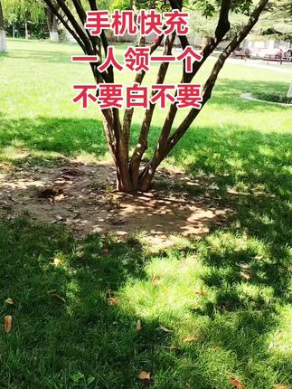 手机超级快充充电器,一人领一单,赶紧薅#快充数据线#手机快充数据线推荐 #充电器#超便宜超划算 #爆款热卖中
