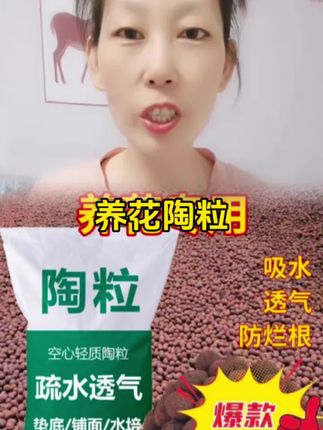 陶粒中号轻质陶粒铺面垫底营养土园艺透气陶土粒#陶粒 #超便宜超划算 #花卉绿植 #花盆铺面 #爱生活爱养花