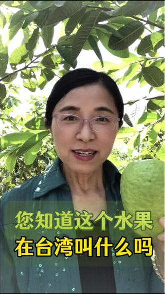 您知道这个水果,在台湾叫什么吗?#台湾#水果#芭乐#果园 #原创动画