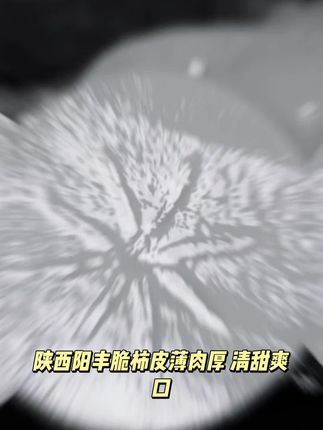 陕西阳丰脆柿皮薄肉厚清甜爽口新鲜多汁脆甜精选大果子包邮#热门#好物推荐🔥#新品