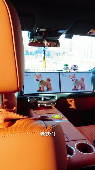 理想汽车新版本屏保小技巧 #理想汽车 #每天一个用车知识 #理想车主看过来 #屏保该换了系列