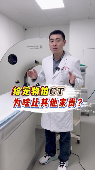 超级宠宠物CT!就来郑州超级宠,准确,高效,有结果#宠物CT #狗狗CT #猫咪CT #郑州宠物CT #河南宠物CT