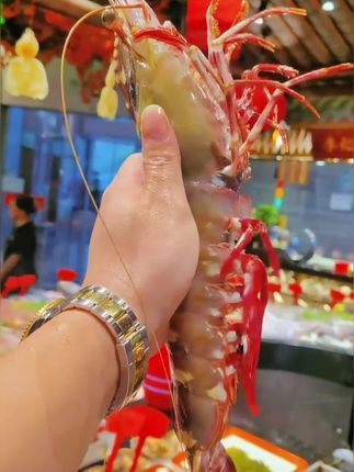 大语文时代,语文考试知识面非常灵活,一定要帮孩子多积累这些百科常识 #育儿#家庭教育 #百科知识 #文学常识#老虎虾 黑虎虾