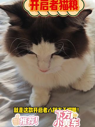 #猫粮 #科学养宠 #自用好物 #开启者猫粮 #猫粮推荐