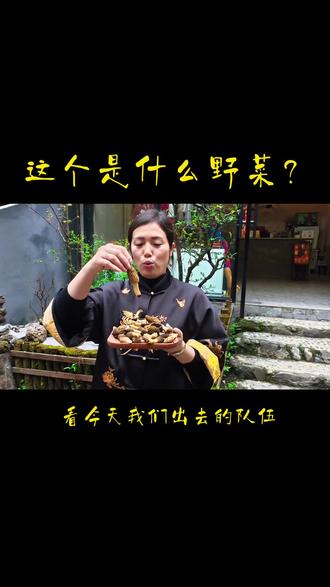 蓥华山组队打野啦 视频留言,每天带队打野:羊肚菌,野葱,蕨苔,折耳根,香椿,雪芽菜,鹿耳韭……#十里松涧 #成都周边打野 #德阳打野 #德阳周边民宿 #成都周边民宿