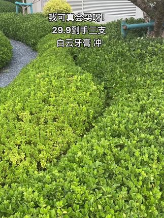 #生活用品 #便宜好物 #必备好物 #生活必备 #便携