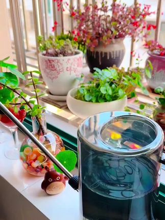 #长嘴浇水壶#养花浇水壶
