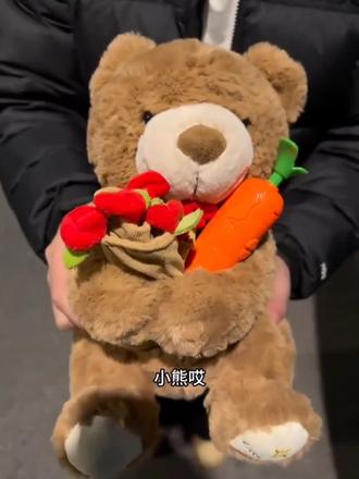 朋友,很可惜你不看#疯狂动物城 ,不懂这根胡萝卜录音笔的含金量。#朱迪尼克 #胡萝卜录音笔#玩个很新的东西 #周边