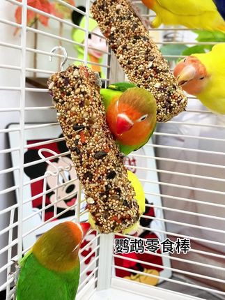 既能磨嘴又营养丰富#鹦鹉零食棒 #鹦鹉零食 #养鸟必备