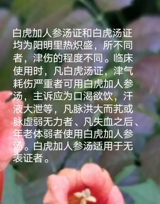白虎加人参汤与白虎汤
临床应用的鉴别