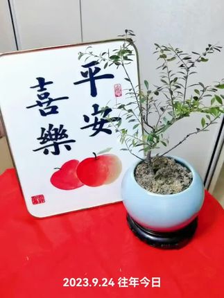【老师推荐】黄铜公母貔貅十二生肖八大守护钥匙扣挂件属相挂饰礼品#貔貅 #貔貅钥匙挂件