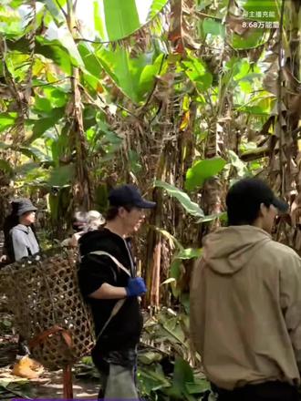 攻打香蕉林中🌴#十个勤天 #种地吧 #西藏 #香蕉