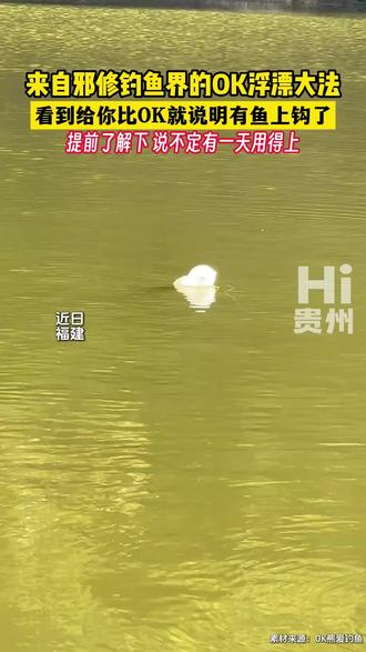 #来自邪修钓鱼界的OK浮漂大法 看到给你比OK就说明有鱼上钩了 提前了解下 说不定有一天用得上 #Hi贵州 素材来源:OK熊爱钓鱼、来乐(搞笑配音)、星杨