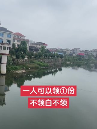 #桌面手机支架 #懒人手机支架 #手机支架 #平板支架 #多功能手机支架