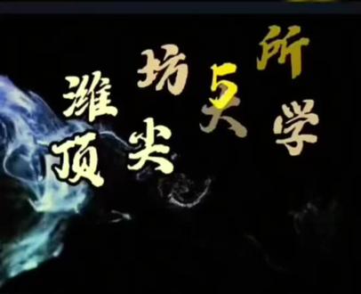 潍坊五所顶尖大学#山东第二医科大学#潍坊学院#山东科技职业技术大学#山东科技职业学院#潍坊理工学院#潍坊科技学院