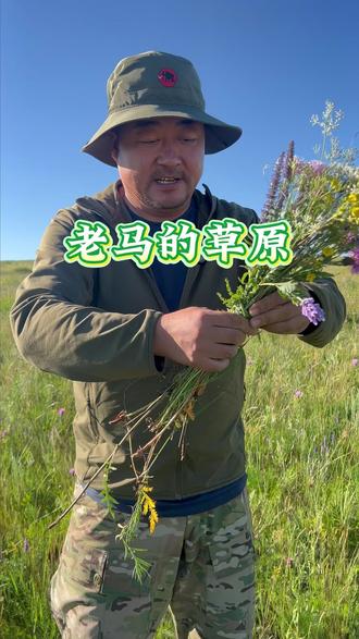 欢迎大家来大草原旅行露营,在老马草原你可以尽情的奔跑,不用拘束做回自己!#草原露营 #草原旅行 #老马在草原 #达达线 #草原美食
