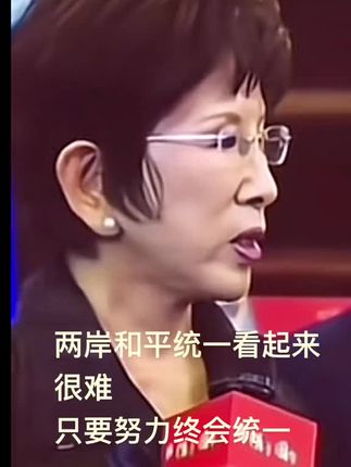#台海#洪秀柱