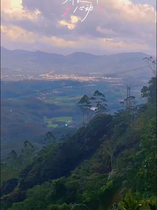 只有到达山顶才有的美景,车窗外绿意盎然,生活疲惫瞬间治愈#探索精神 #风景 #好运都在路上 #治愈系风景 #风景如画美如仙境 @DOU+小助手