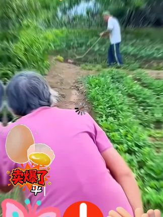 筷子就选楠竹的,自然健康高颜值还好用。#强烈推荐 #楠竹筷子#天然竹筷子 #超便宜超划算