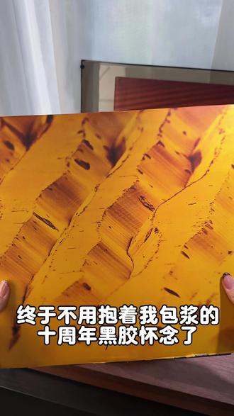 终于可以听鹿哥新胶了!#鹿晗 #鹿晗黑胶唱片 #我们的明天鹿晗 #芦苇 #唱片机