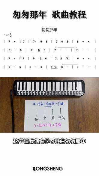 新手必看!口风琴《匆匆那年》教程 #匆匆那年 #孔声口风琴 #口风琴 #口风琴教学 #音乐分享