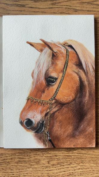 马怎么画?一学就会水彩绘画教程! #跟着抖音学画画 #画画 #一学就会系列 #抖音年味艺术图鉴 #绘画教程 !准备好水彩、彩铅…,拿笔新年第一画!马年画马!愿我们新的一年,所有愿望马上实现!