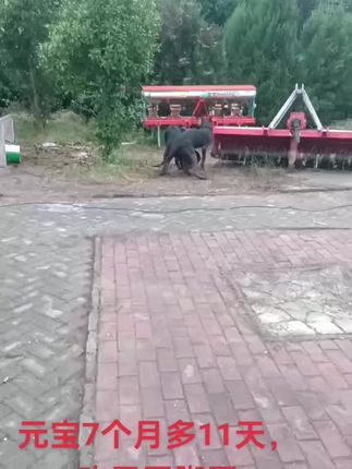 #短视频变现