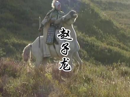 极其雄壮、不知姓名、果真子龙#赵云 #三国演义