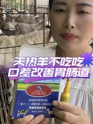 羊不吃不喝,改善羊的胃肠道。#养羊人 #养羊技术 #养羊创业 #养殖场专用