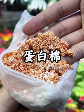 鱼缸去黄水用蛋白棉是真的有用,不到半个小时就吸附的干干净净#鱼缸过滤 #蛋白棉 #空气缸 #新手养鱼