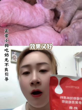 母狗这样喂,当天就能下奶#养狗经验分享 #养宠知识 #宠物知识 #母狗下奶#奶霸@DOU+小助手