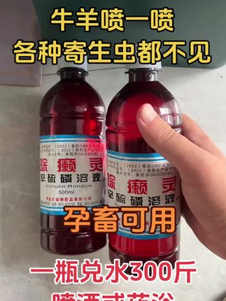 牛羊驱除体外寄生虫 #养殖户 #畜牧养殖 #养羊 #牛羊驱虫 #牛羊驱虫健胃