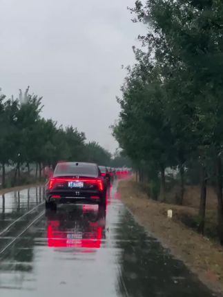 冷知识:红旗的双闪,对准的是北京时间秒帧,所以才会这么齐。#雨天行车注意安全 #红旗h5