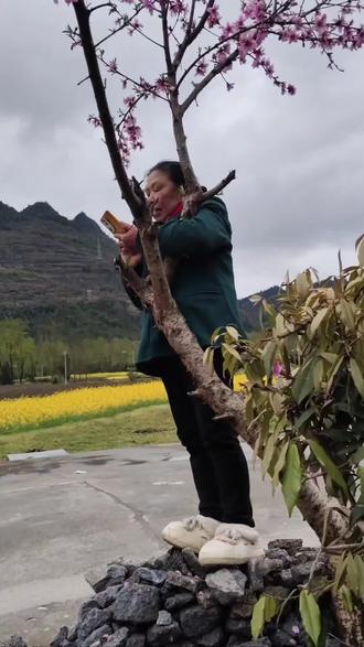 玉峰啊,玉峰你让哥哥好伤心