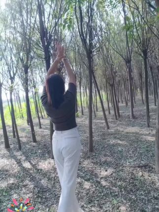 久违的蓝天白云,晴空万里🌤️ ——小树林里秀一段✌️